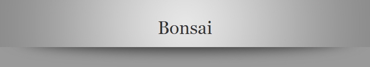 Bonsai